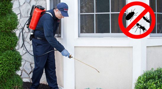 Yahyalı Hamam Böceği İlaçlama böcek ilaçlama ve haşere kontrolü — ilaclama-tr.com